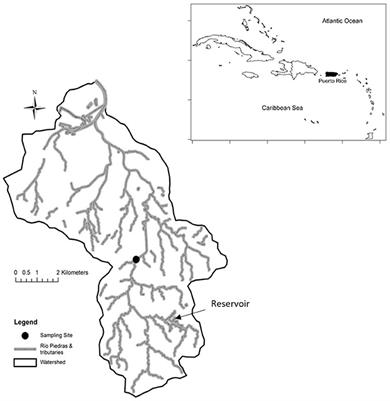 Drought Facilitates Species Invasions in an Urban Stream: Results From a Long-Term Study of Tropical Island Fish Assemblage Structure